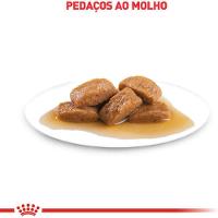 Ração Úmida Royal Canin Sachê Maxi Adult Cães Adultos - 6