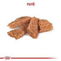 Ração Úmida Royal Canin Gastrointestinal Cães Adultos - 5