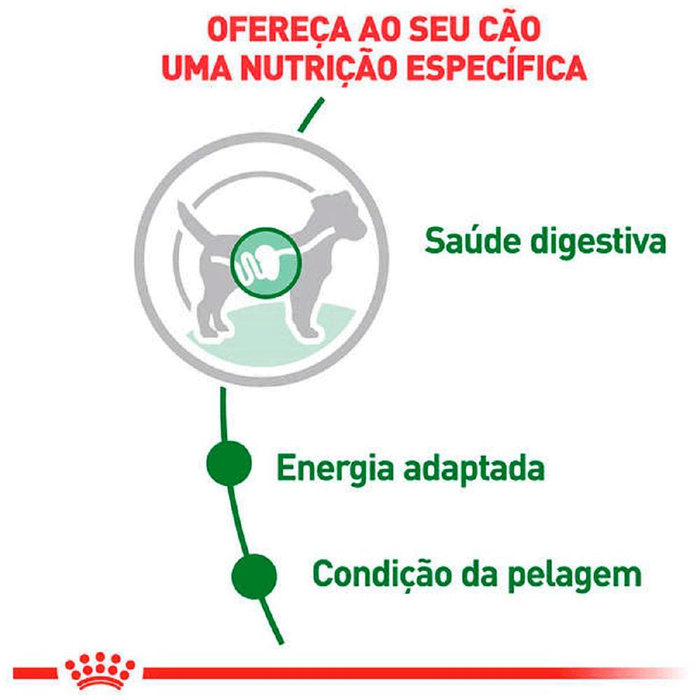 Ração Úmida Royal Canin Mini Adult Cães Adultos - 3