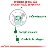 Ração Úmida Royal Canin Mini Adult Cães Adultos - 3