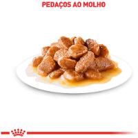 Ração Úmida Royal Canin Mini Adult Cães Adultos - 4