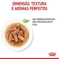 Ração Úmida Royal Canin Medium Puppy Cães Filhotes - 8
