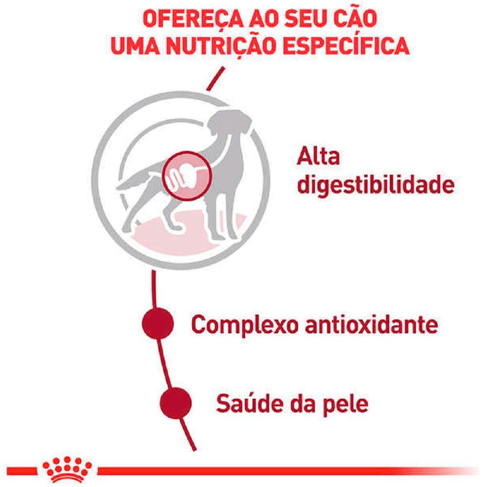 Ração Úmida Royal Canin Medium Adult Cães Adultos - 3