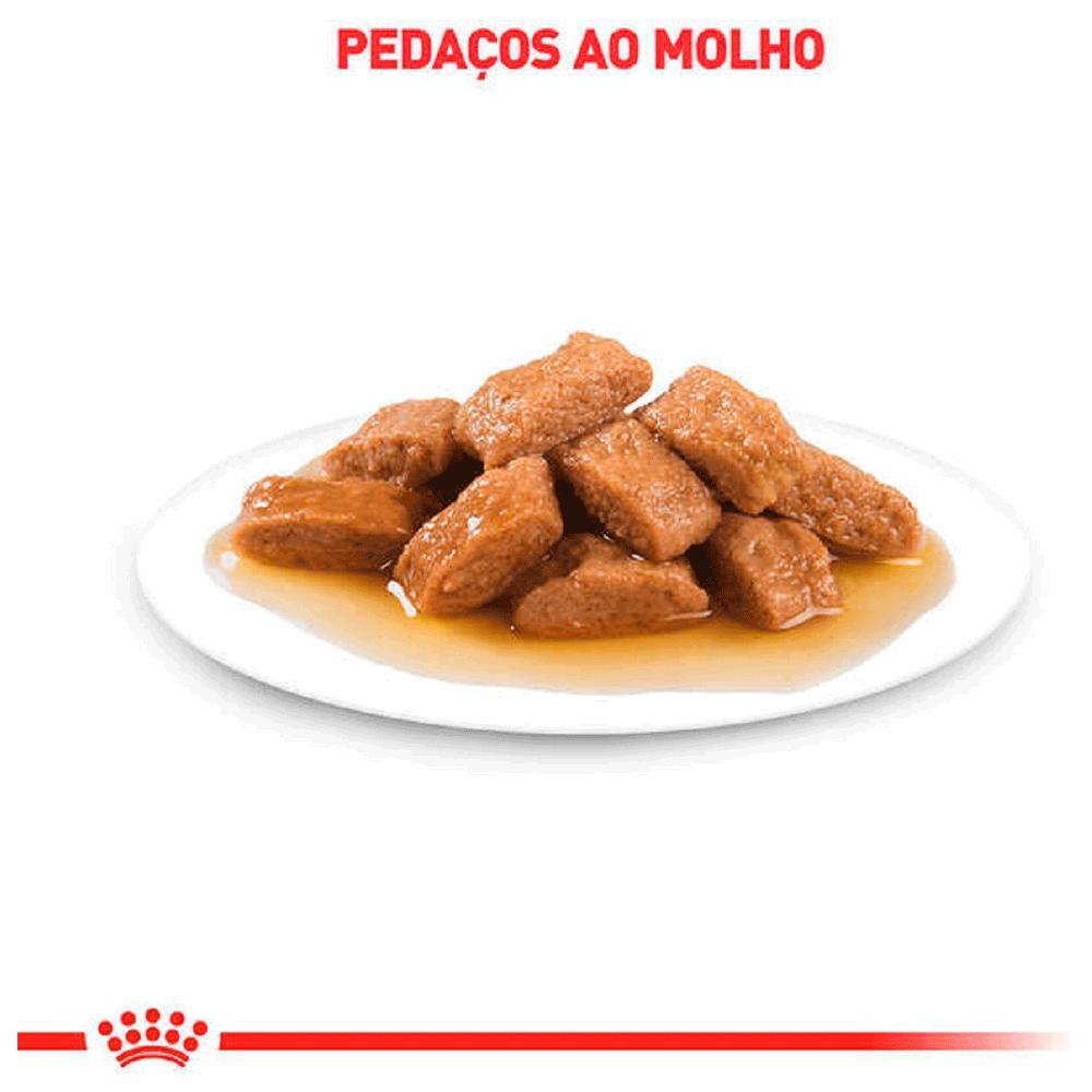 Ração Úmida Royal Canin Medium Adult Cães Adultos - 4