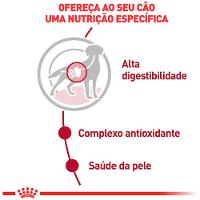 Ração Úmida Royal Canin Medium Adult Cães Adultos - 3