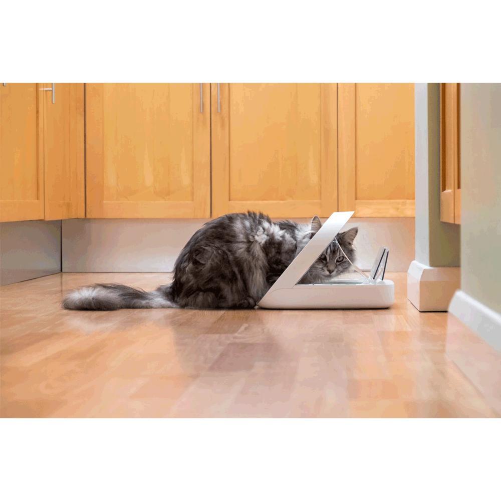 Comedouro Inteligente com APP para Cães e Gatos Sure PetCare - 9