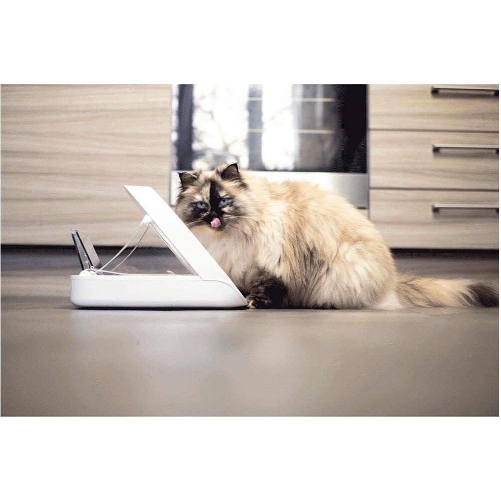 Comedouro Inteligente com APP para Cães e Gatos Sure PetCare - 10