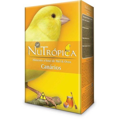 Farinhada Nutrópica para Canário a Base de Mel e Ovos