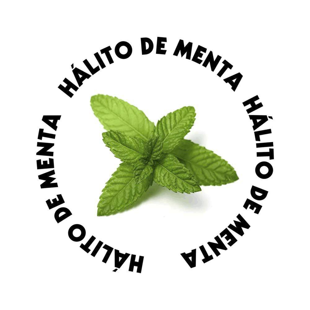 Spray Bucal Menta Cães e Gatos Pet Clean - 5