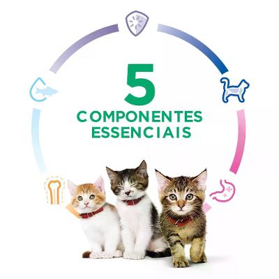 Ração Hill's Science Diet para Gatos Filhotes Sabor Frango