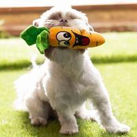 Mordedor Pelúcia Cenoura Jambo - 5