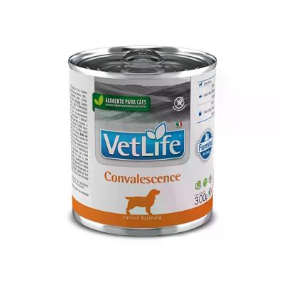 Ração Úmida Vet Life Convalescença para Cães