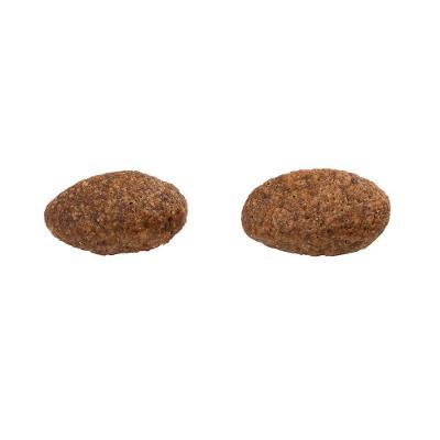 Ração Guabi Natural Cão Adulto Grande Cordeiro e Aveia 12kg