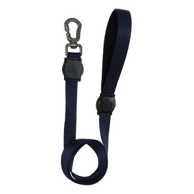 Guia  Cães e Gatos São Pet Azul