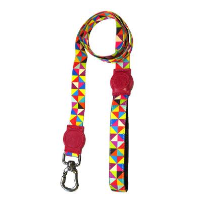 Guia Frevo  Cães e Gatos São Pet