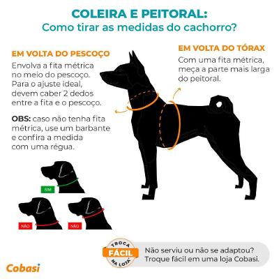 Coleira para Cães Frevo São Pet