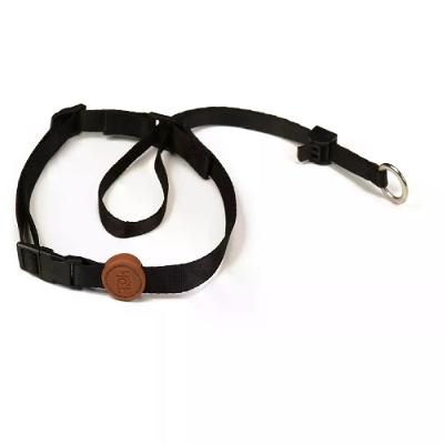 Coleira Cabresto para Cães Toh Preta