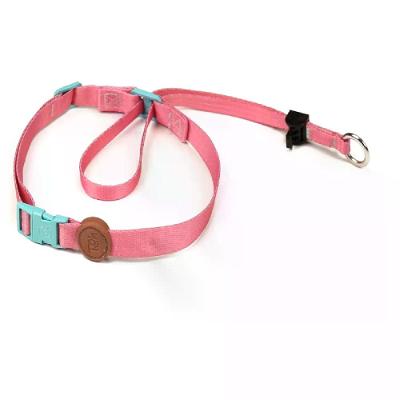 Coleira Cabresto para Cães Toh Fiji