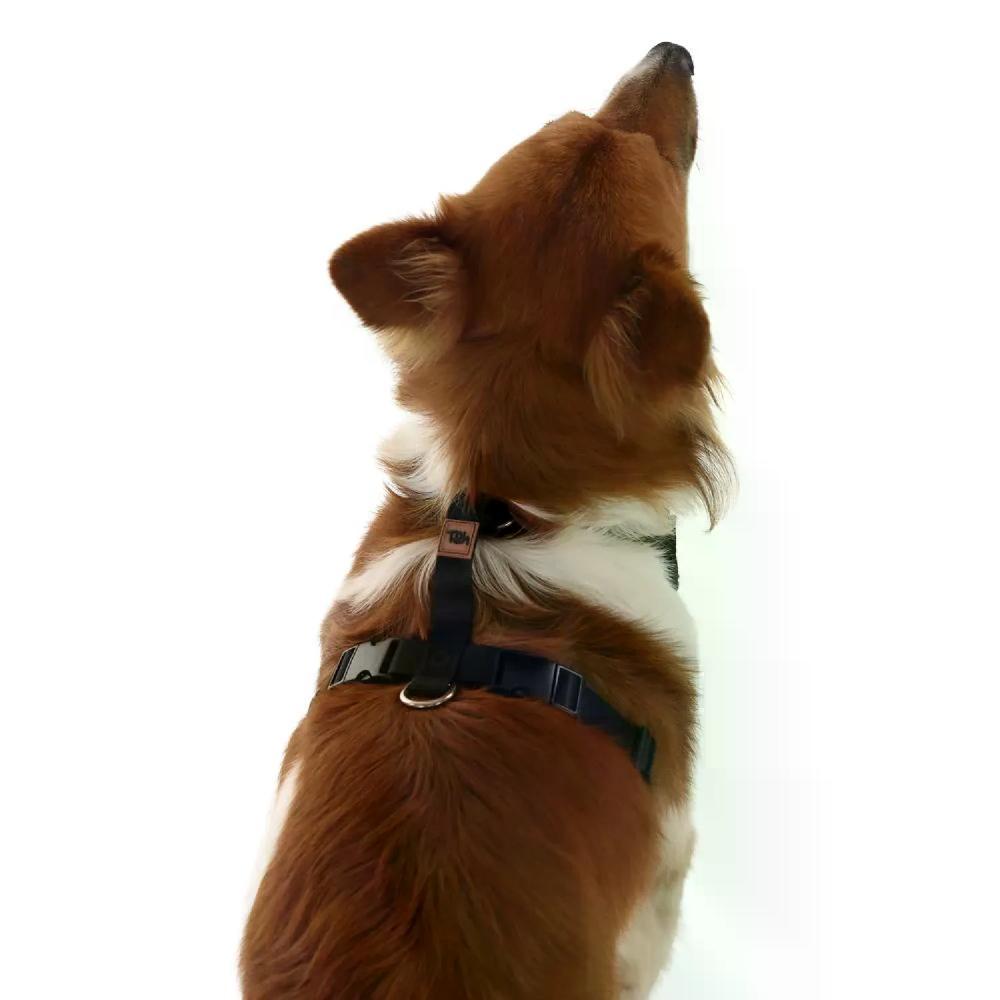 Peitoral H Mesh para Cães Toh Preto - 3