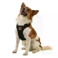 Peitoral H Mesh para Cães Toh Preto - 2