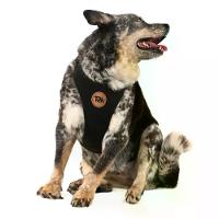 Peitoral H Mesh para Cães Toh Preto - 5