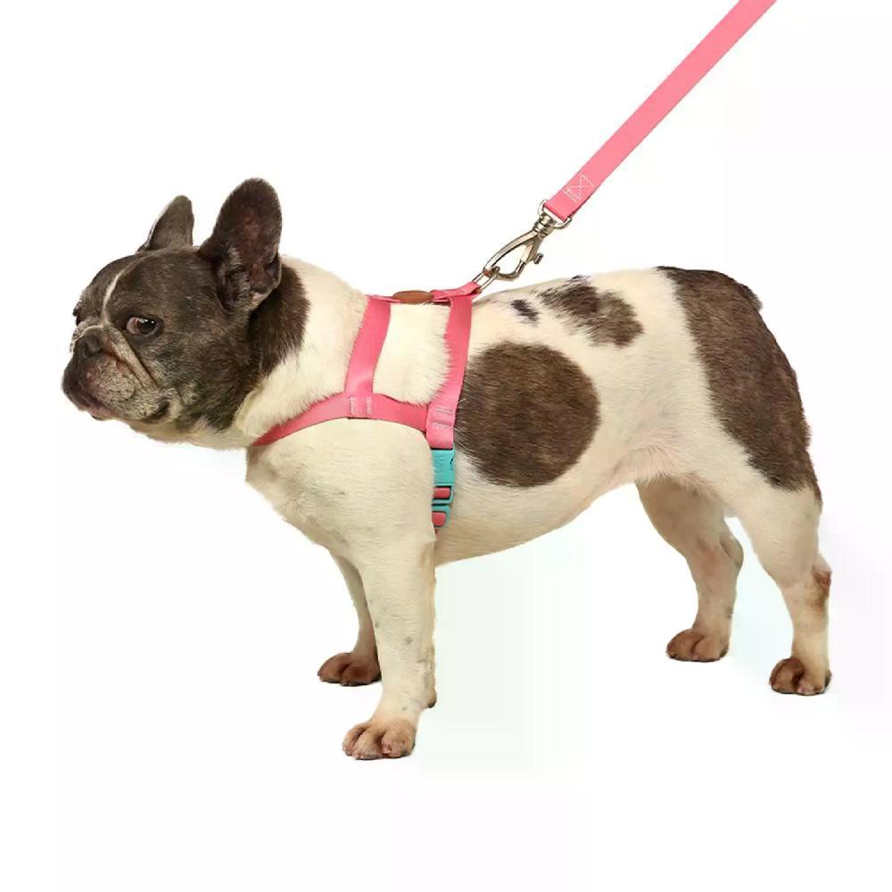 Conjunto Peitoral Tradicional com Guia Toh Fiji - 2