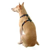 Peitoral H para Cães Basic Toh Azul - 5