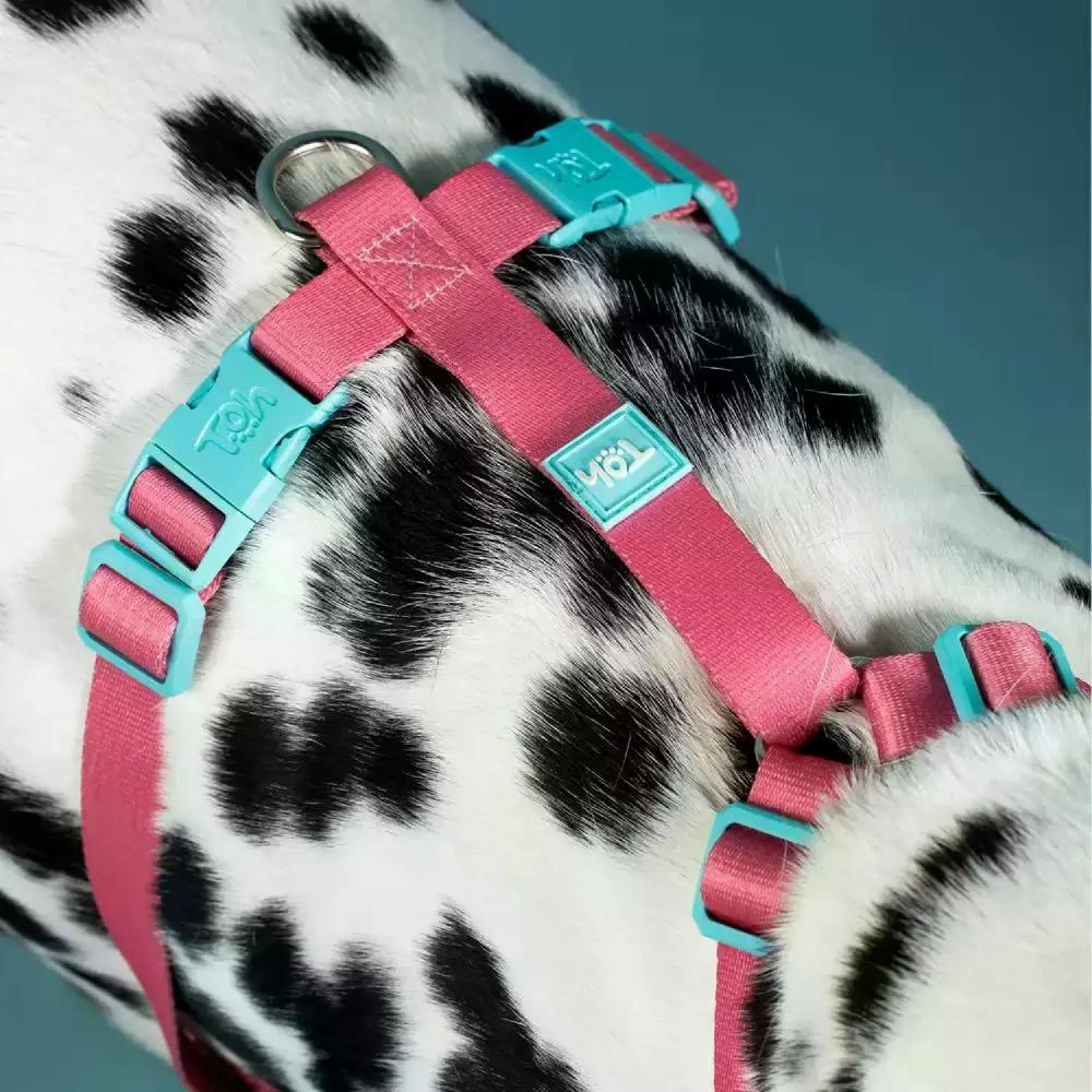 Peitoral H Mesh para Cães Toh Fiji - 4