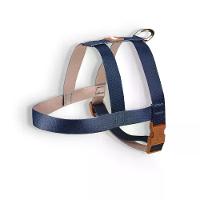 Peitoral Tradicional para Cães Basic Toh Azul - 1