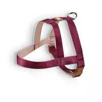 Peitoral Tradicional para Cães Basic Toh Bordô - 1