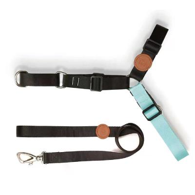 Conjunto Peitoral Antipuxão com Guia Toh Preto