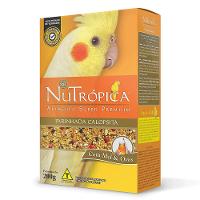 Farinhada Nutrópica para Calopsita à Base de Mel e Ovos - 3