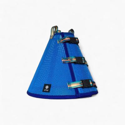 Colar Elizabetano Koter Vestdog