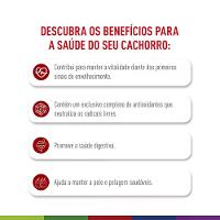 Ração Royal Canin Medium Adult para Cães Adultos de Porte Médio 7+ - 3