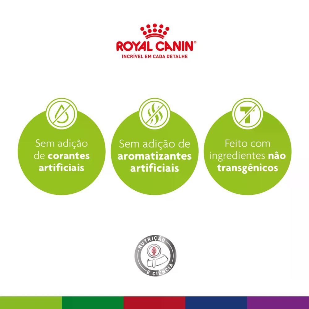 Ração Royal Canin Maxi Ageing 8+ para Cães Idosos Porte Grande - 5