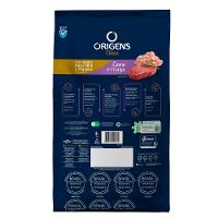 Ração Origens Class Cães Adultos Minis e Pequenos Carne e Frango - 4