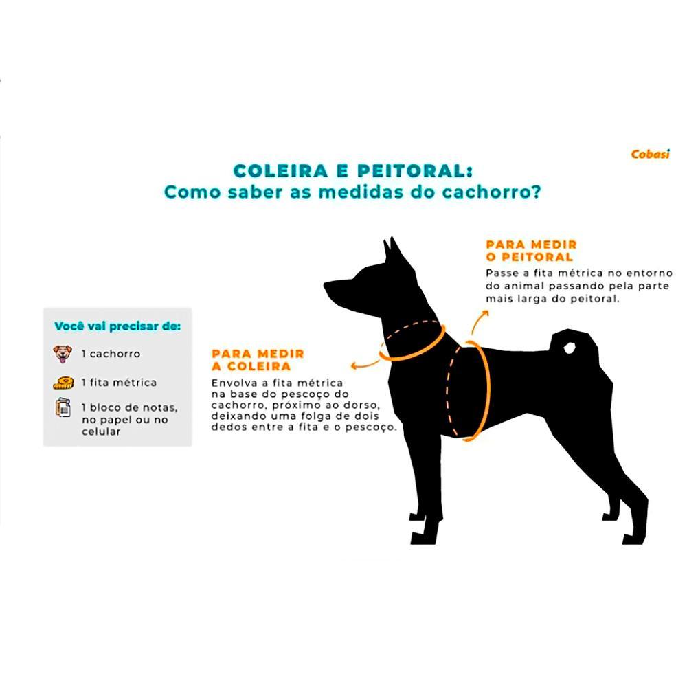 Coleira Cães Nylon Signature Doco Cinza - 2