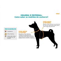 Coleira Cães Nylon Signature Doco Cinza - 2