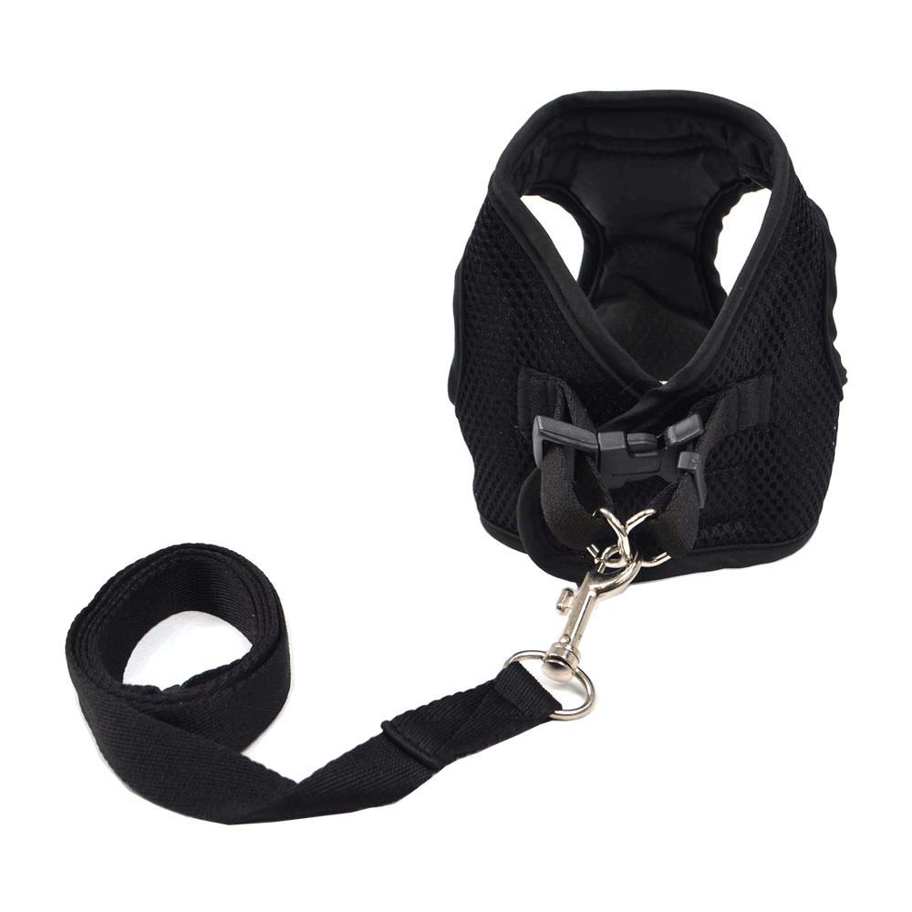 Peitoral com Guia para Cães Emporium Distripet Preto - 3