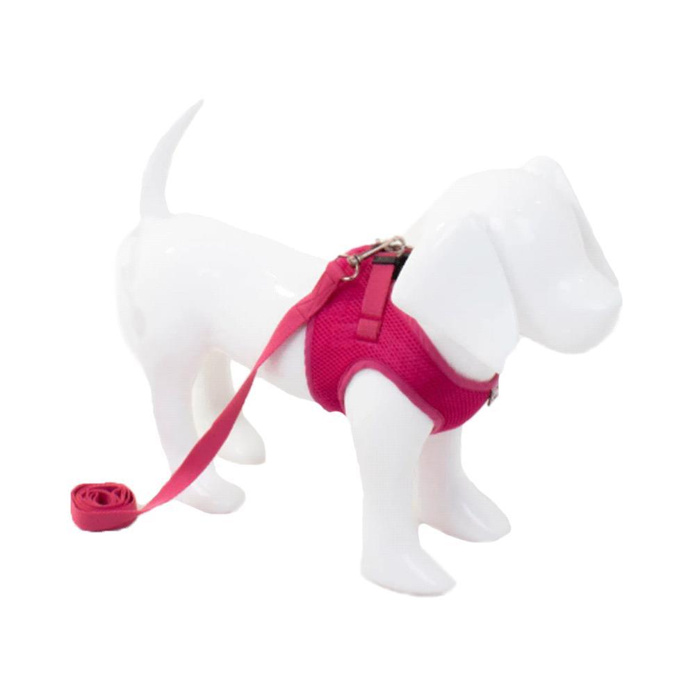 Peitoral com Guia para Cães Emporium Distripet Rosa - 2