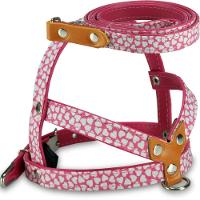 Peitoral com Guia Veneza AMF Rosa - 1