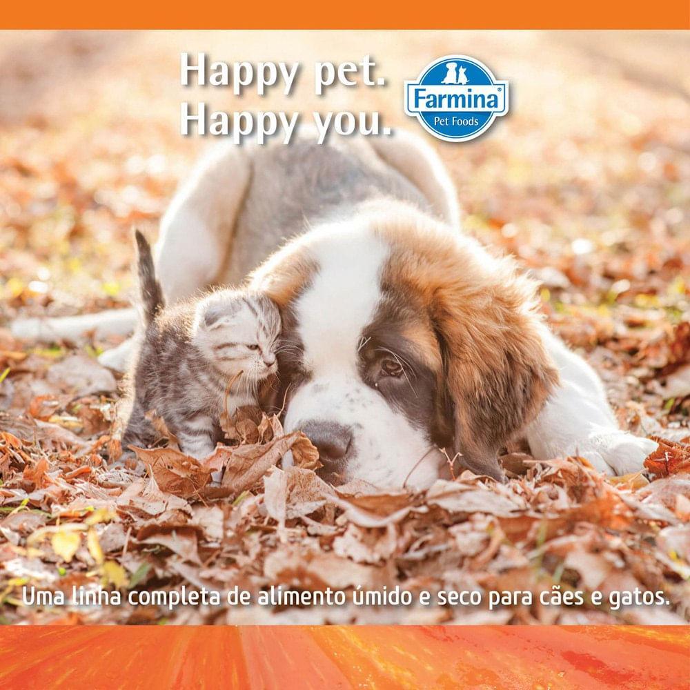 Ração N&amp;D Pumpkin Cães Adultos Raças Médias Frango, Abóbora e Romã - 6