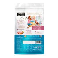 Ração Fórmula Natural Life Super Premium Cães Adultos Mini e Pequeno - 9