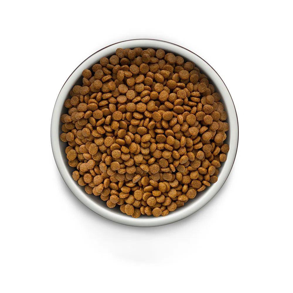 Ração Guabi Natural Grain Free Cães Adultos Raças Mini Pequeno Frango e Lentilha - 4