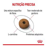 Ração Royal Canin Controle do Apetite para Gatos Adultos