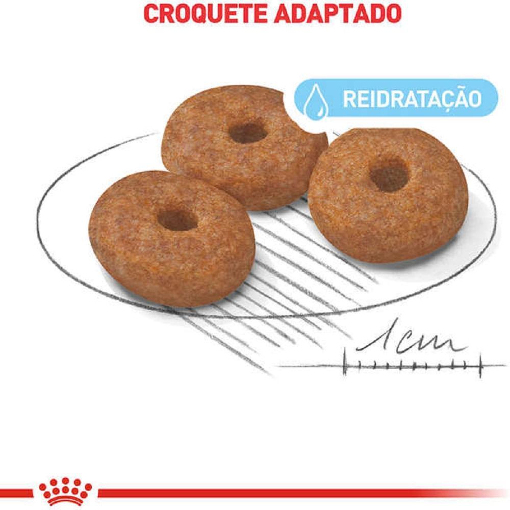 Ração Royal Canin Mini Indoor Senior para Cães Idosos de Porte Pequeno com 8+ - 3