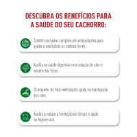 Ração Royal Canin Mini Indoor Senior para Cães Idosos de Porte Pequeno com 8+ - 7