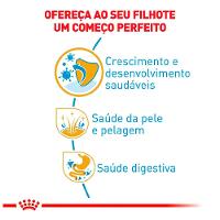 Ração Royal Canin Puppy Shih Tzu Cães Filhotes - 5