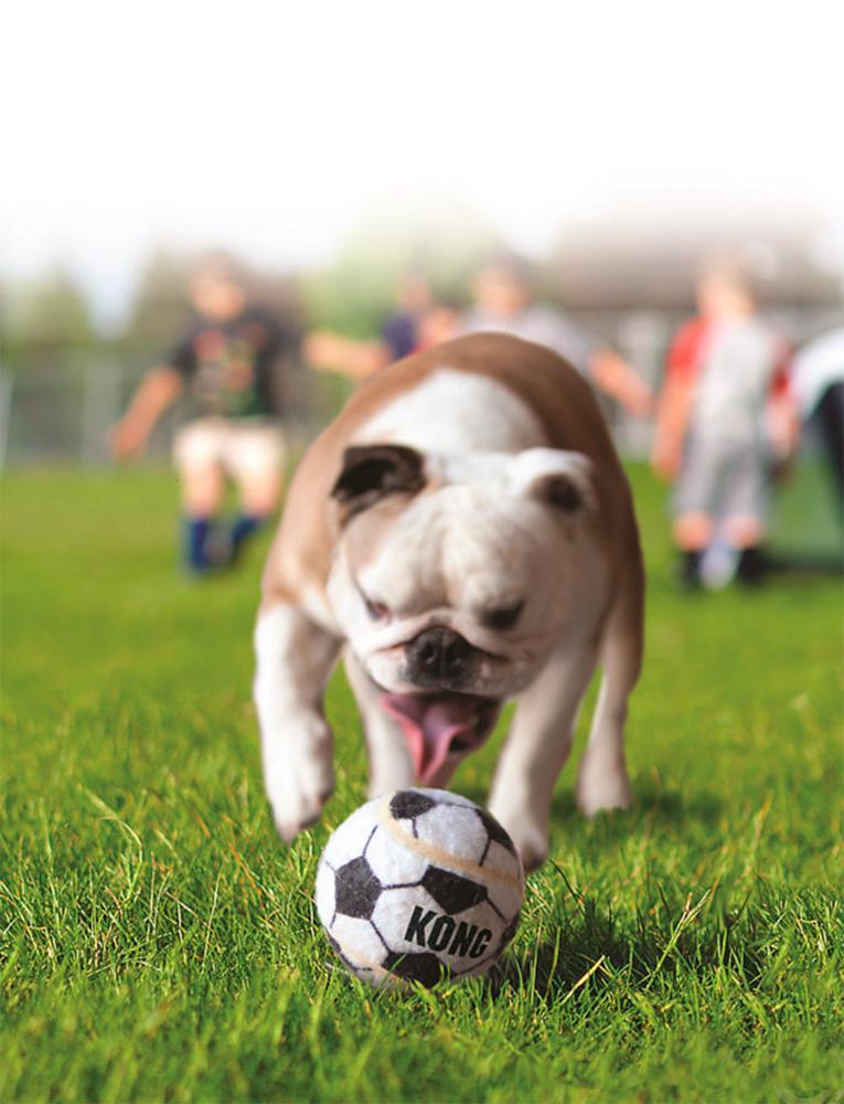 Bola Kong Sports com 3 Unidades - 3