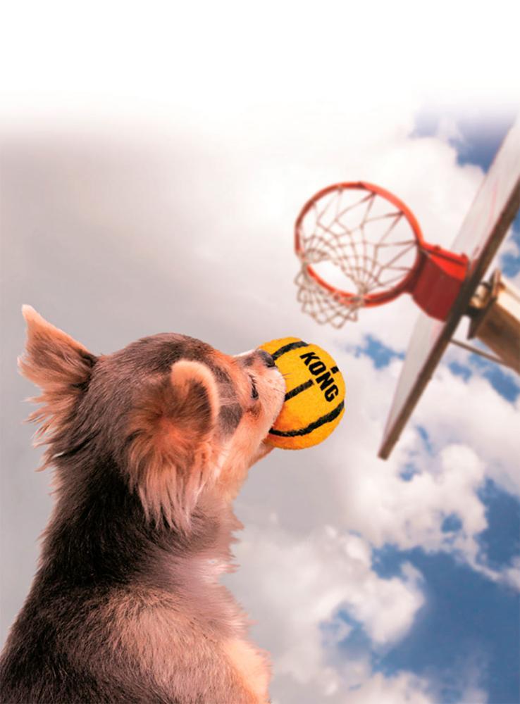 Bola Kong Sports com 3 Unidades - 4